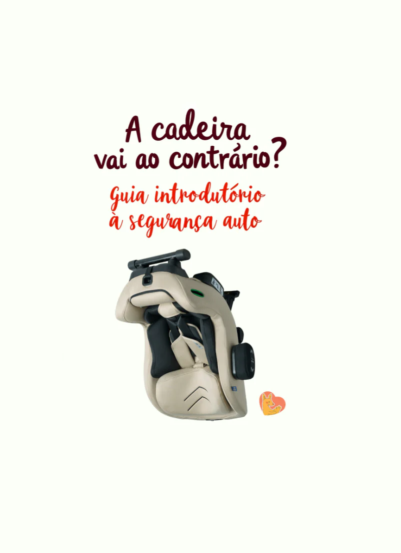 A Cadeira vai ao contrário? (Guia introdutório à segurança auto) - Image 4