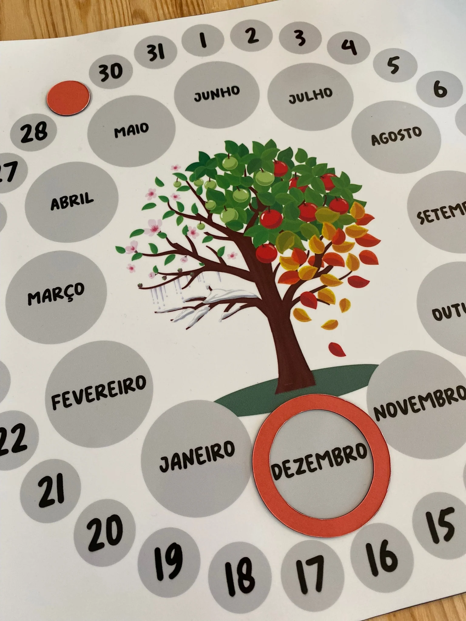 Calendário Anual Magnético - Gotu - Image 3