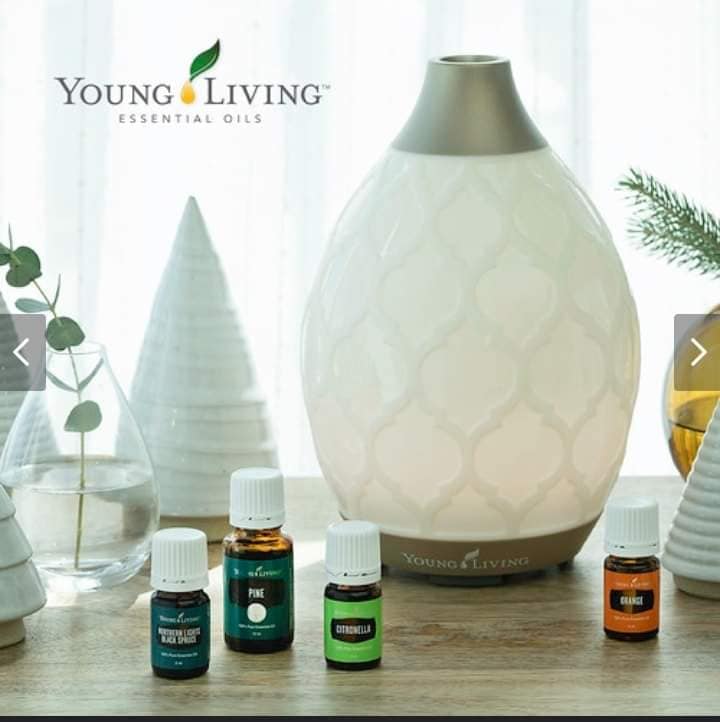 Young Living - Difusor Desert Mist +Citronella + Orange