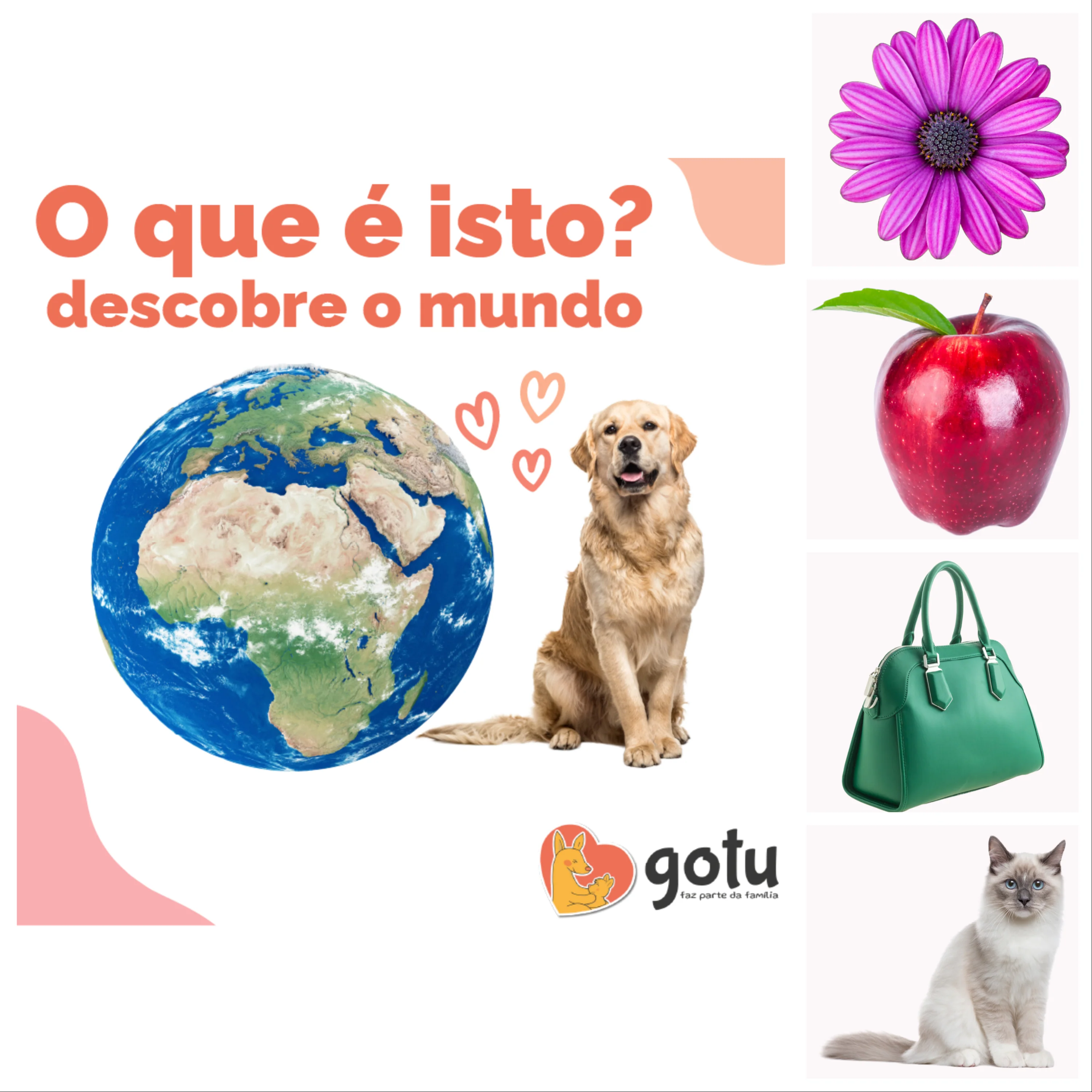 Ebook - O que é isto? Descobre o mundo