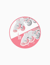 Globber Patins em linha 2 em 1 Rosa Pastel - Image 5