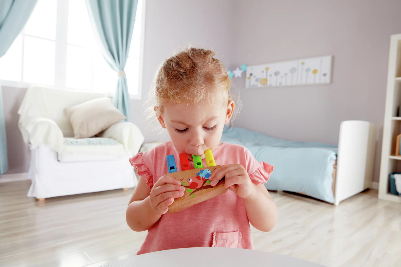 Hape Flauta de 4 Tubos - Rainbow - Image 2