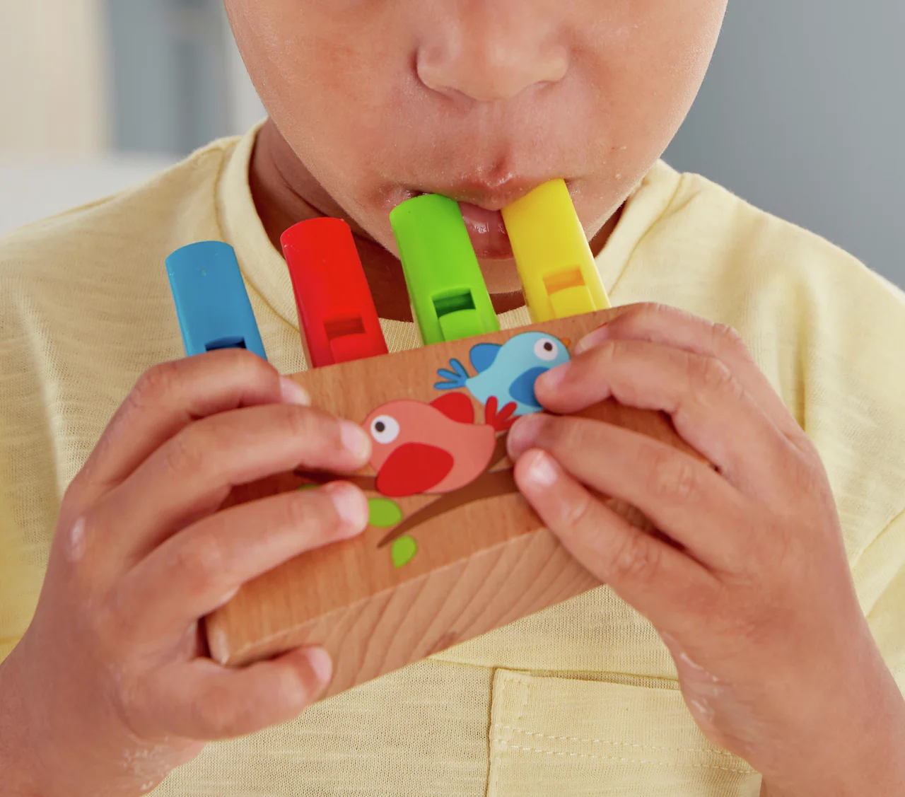 Hape Flauta de 4 Tubos - Rainbow - Image 4