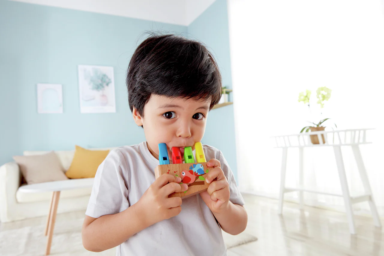 Hape Flauta de 4 Tubos - Rainbow - Image 5