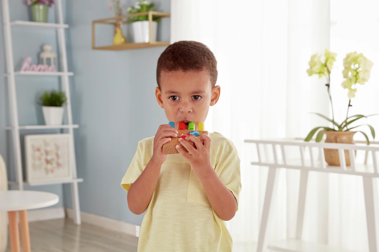 Hape Flauta de 4 Tubos - Rainbow - Image 6