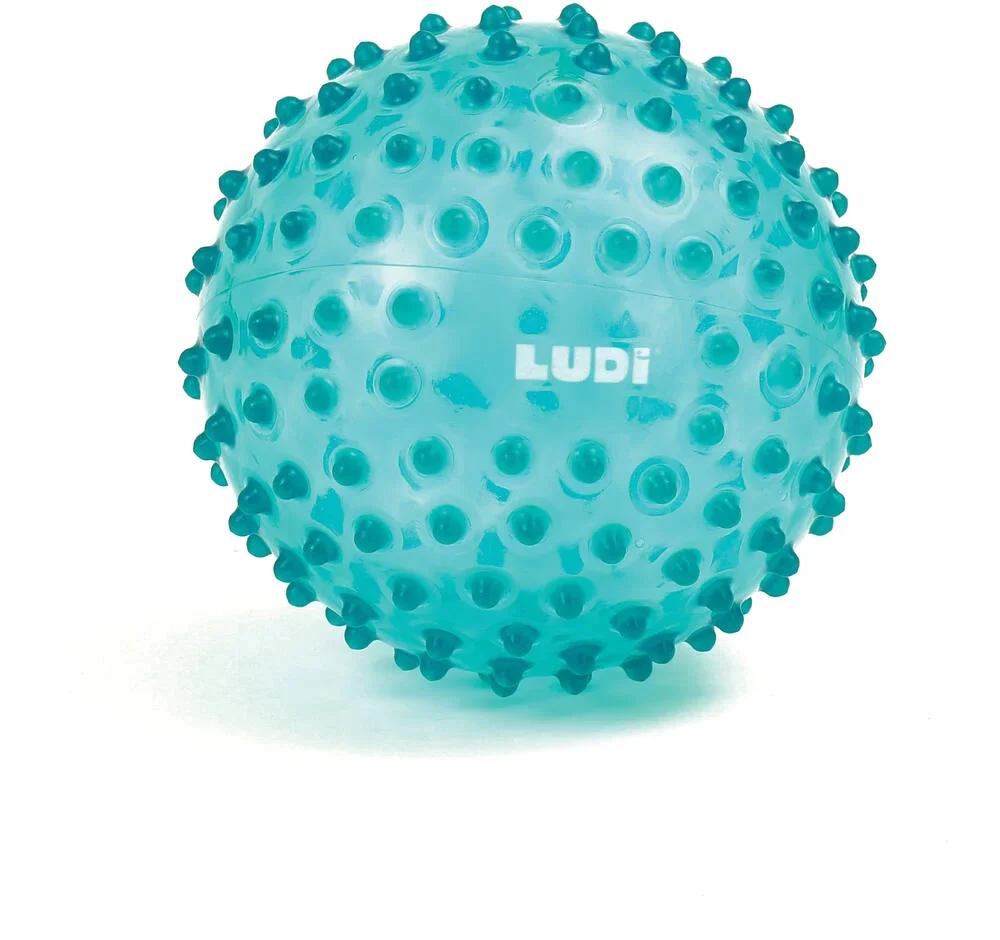 Ludi Bola Sensorial - Image 3
