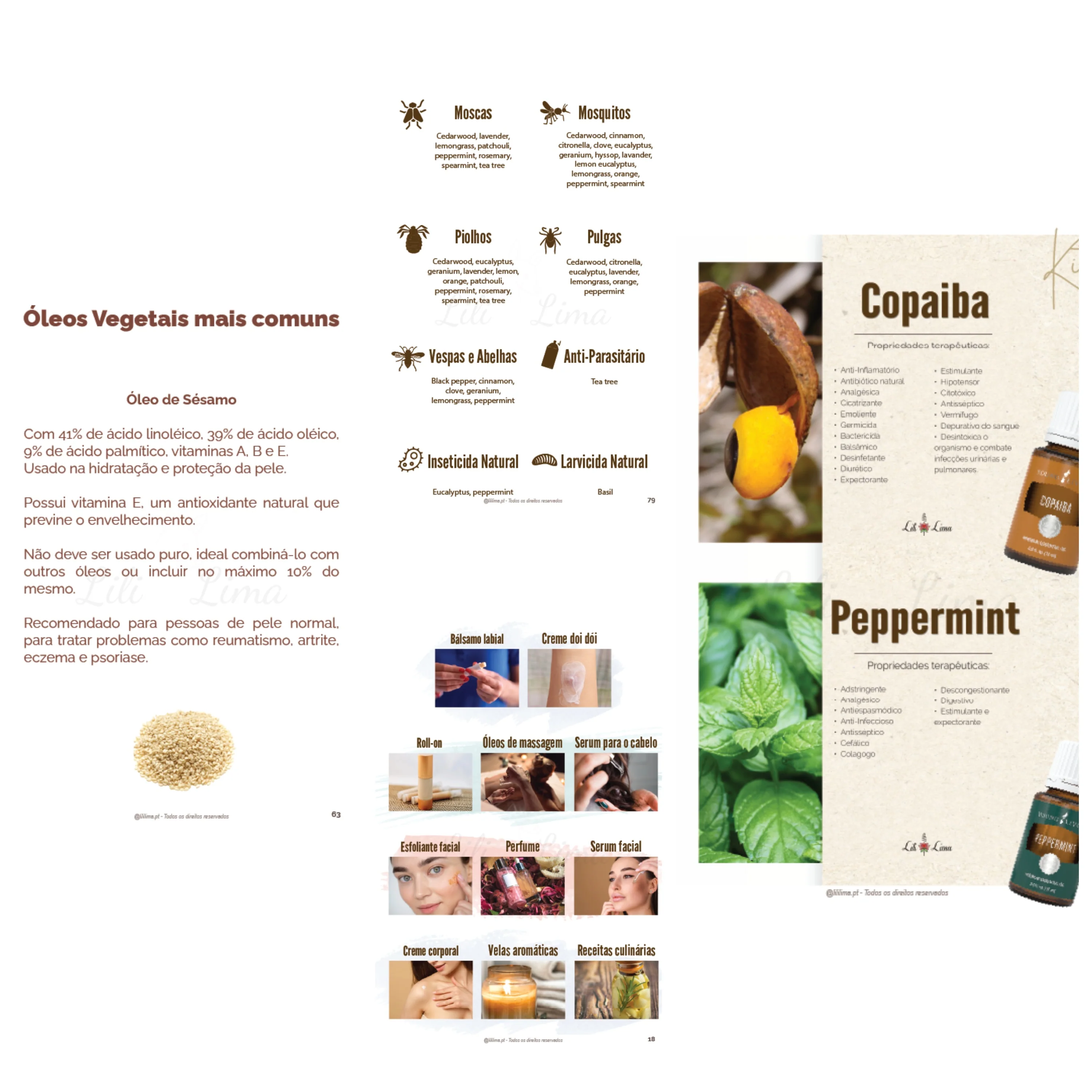 Ebook - Manual do aromaterapeuta - curso completo de óleos essenciais - Image 2