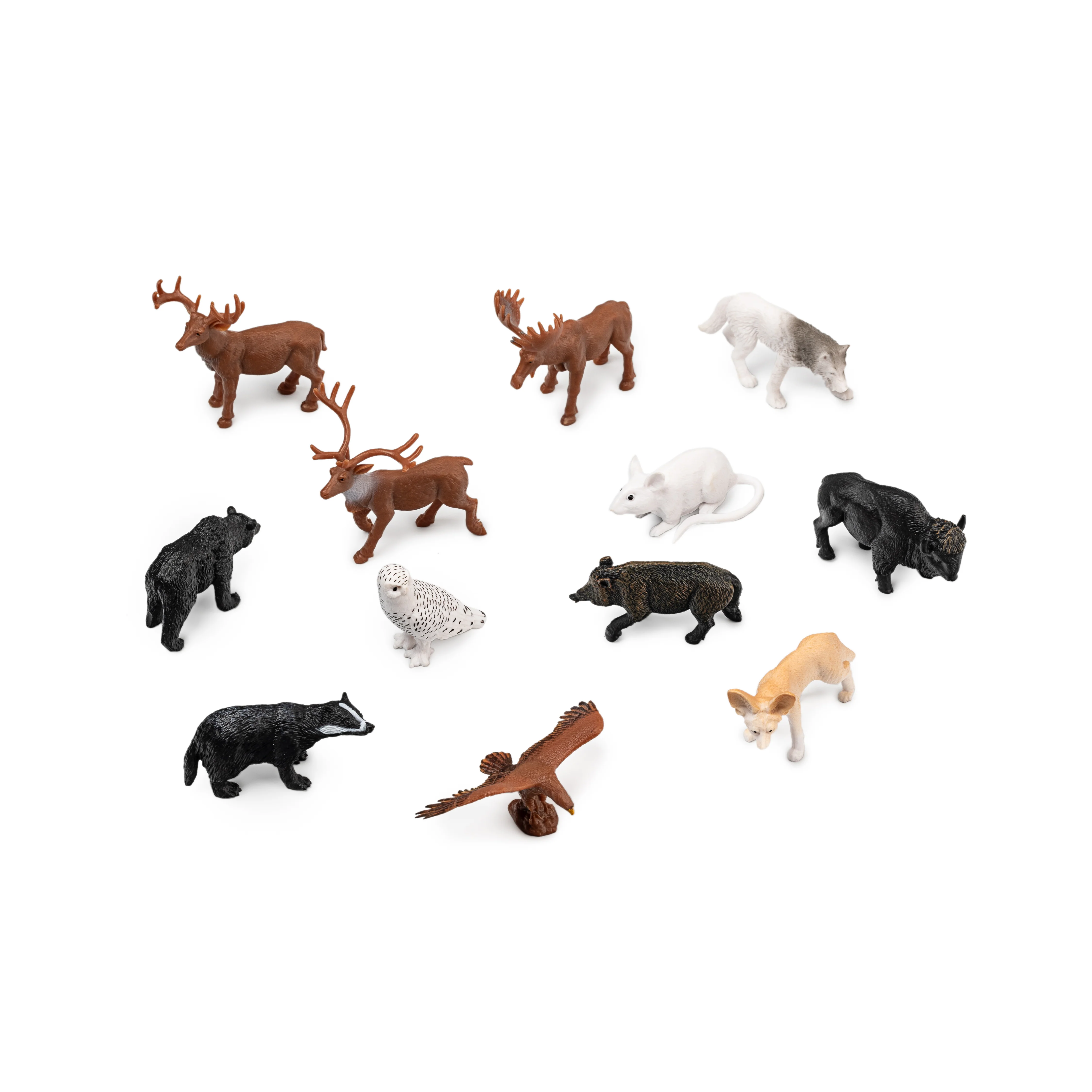 Mojo 12 Animais Bosque - Image 3