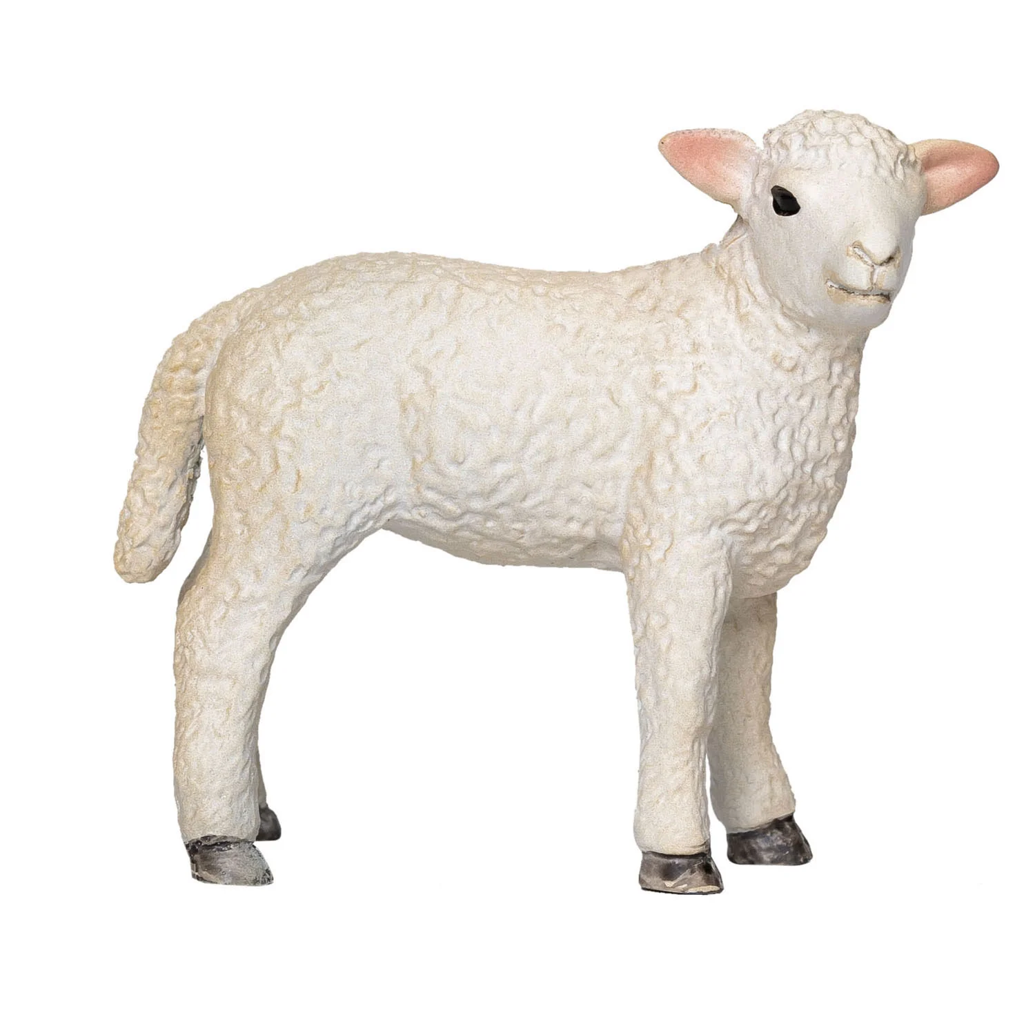 Mojo Cordeiro Romney S