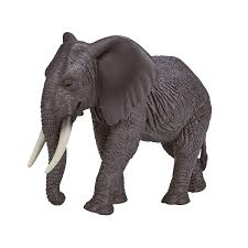 Mojo Elefante Africano XL