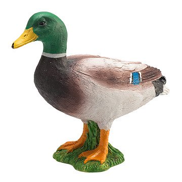 Mojo Pato Real M