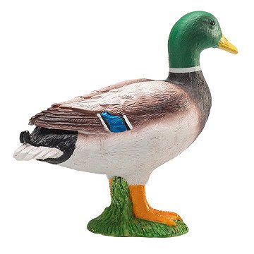 Mojo Pato Real M - Image 2