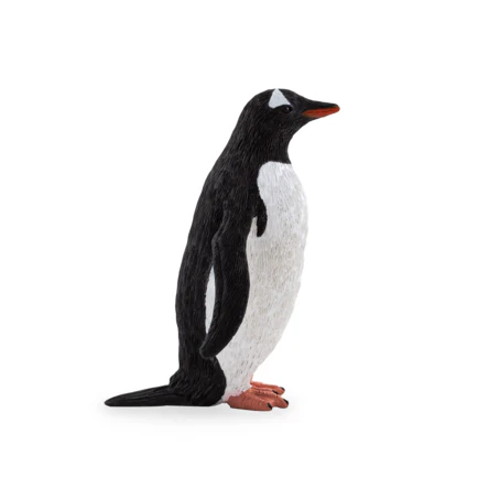 Mojo Pinguim M