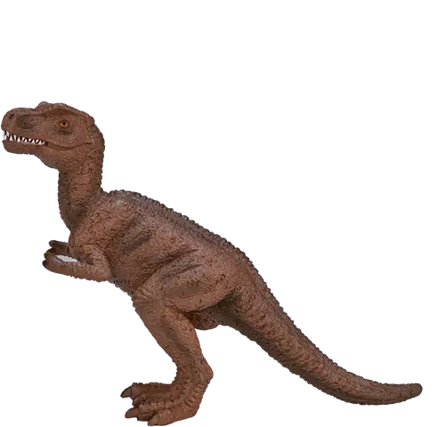 Mojo T-REX Juvenil M