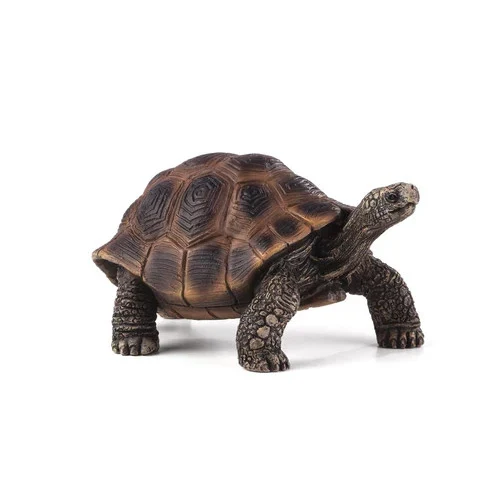 Mojo Tartaruga Gigante L