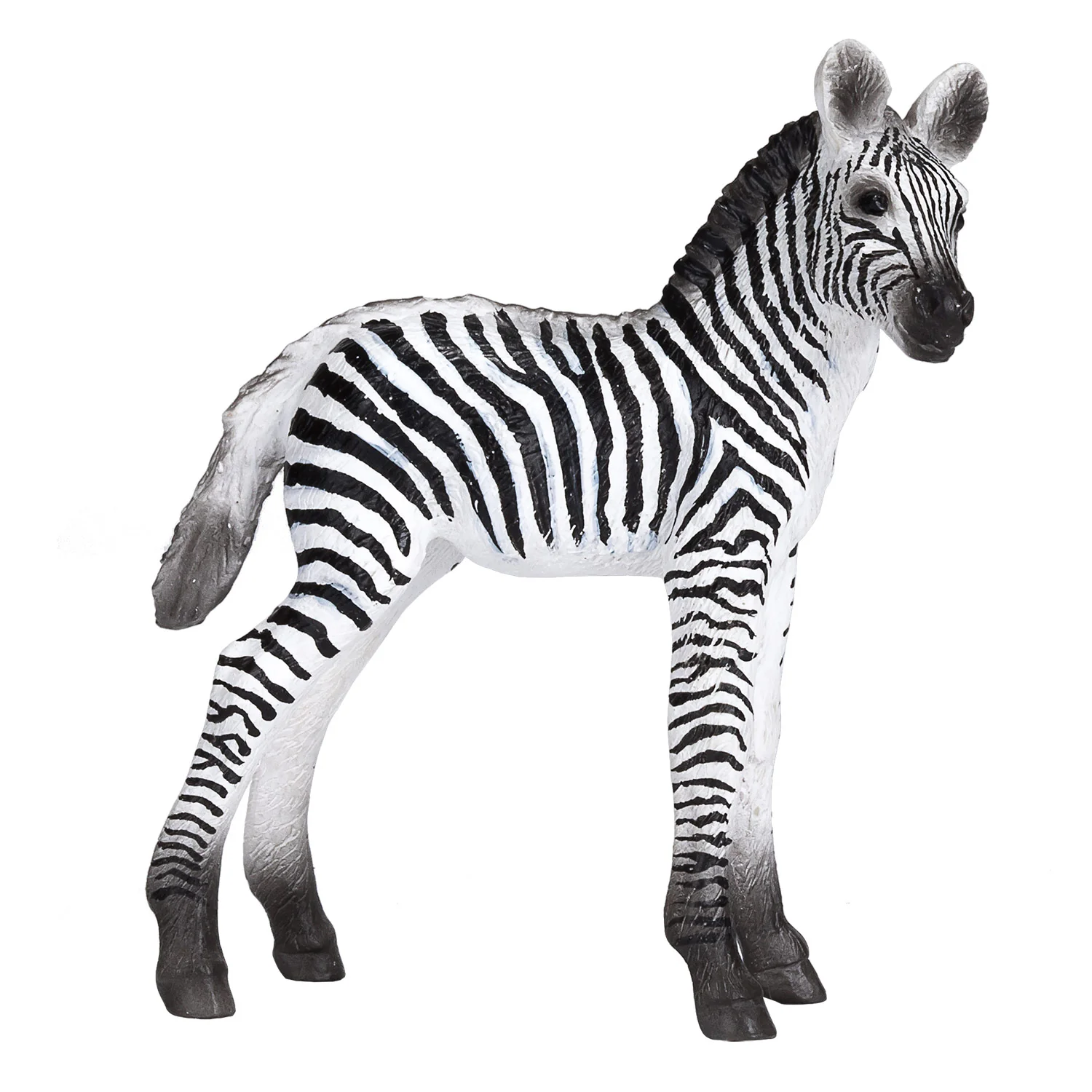 Mojo Zebra Filhote M