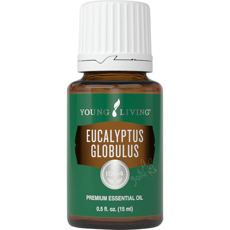 Young Living - Óleo Essencial 15ml Eucalyptus Globulus