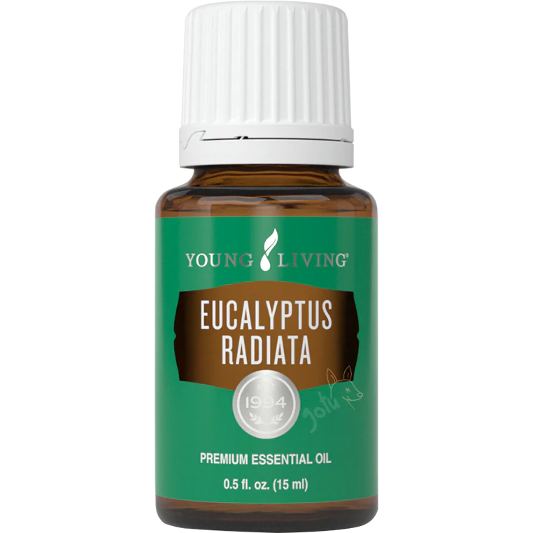 Young Living - Óleo Essencial 15ml Eucalyptus radiata