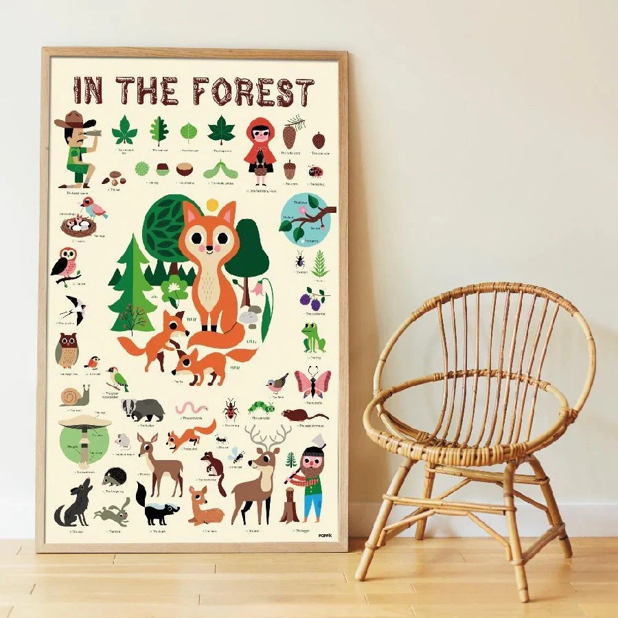 Poppik DISCOVERY - poster com autocolantes Floresta - Image 7
