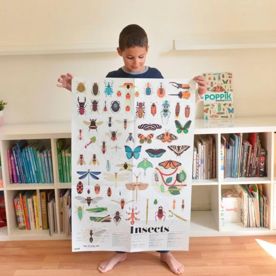 POPPIK DISCOVERY - poster com autocolantes Insetos - Image 4