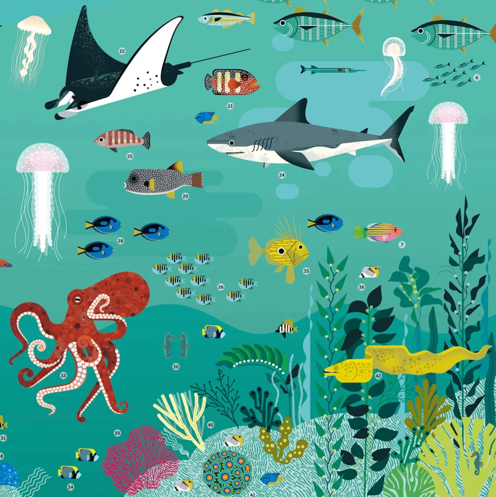 Poppik DISCOVERY - poster com autocolantes Oceanos - Image 6