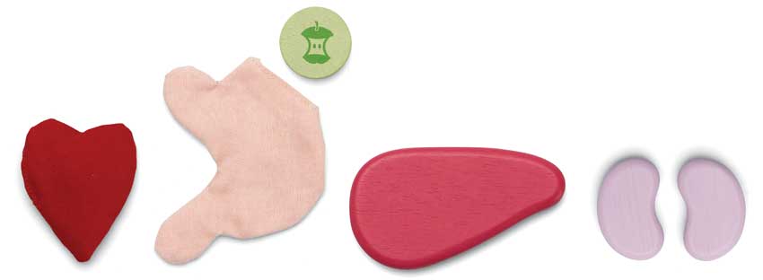 Plantoys Conjunto CIRURGIÃO - Image 5