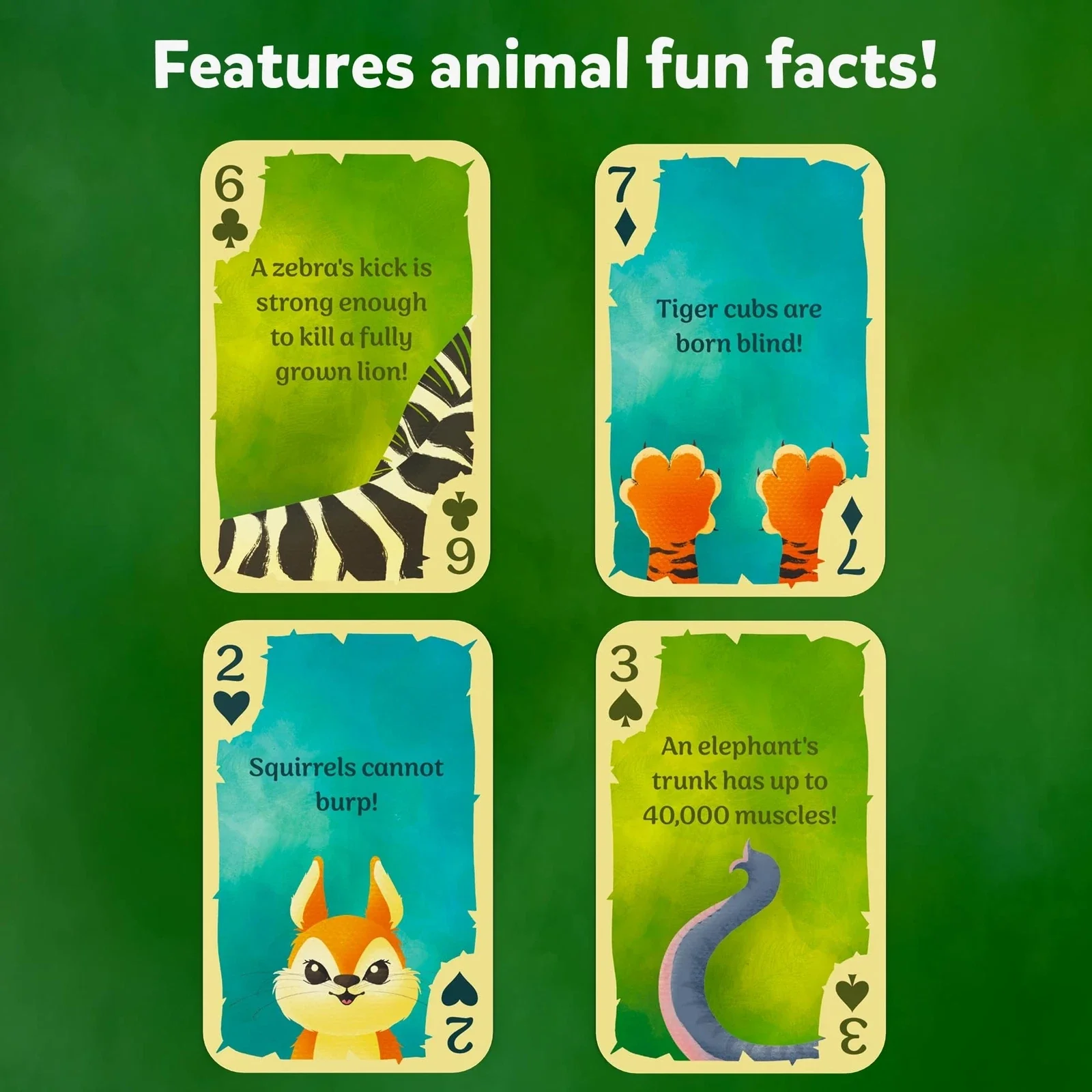 Skillmatics 54 Cartas - Image 4