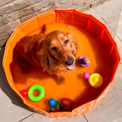 Swim essentials - Piscina 80 cm - Image 2