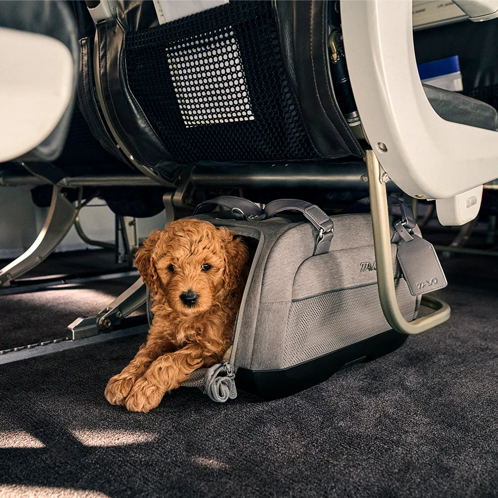 TAVO Dupree II: O Sistema de Transporte 2-em-1 - Cadeira Auto ISOFIX e Mala de Viagem Aérea - Image 24