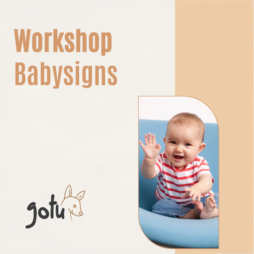 Workshop Babysigns Online